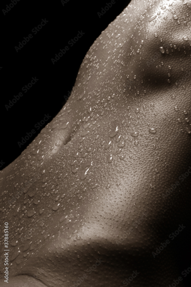 Fototapeta premium Sexy