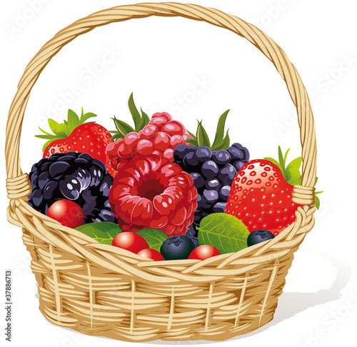 basket with berries