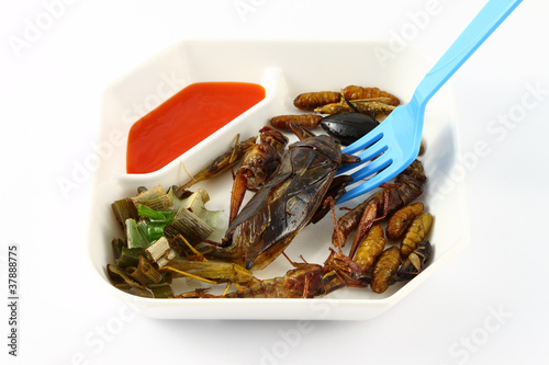 Spicy herb fried insect wings in food dish and blue fork.