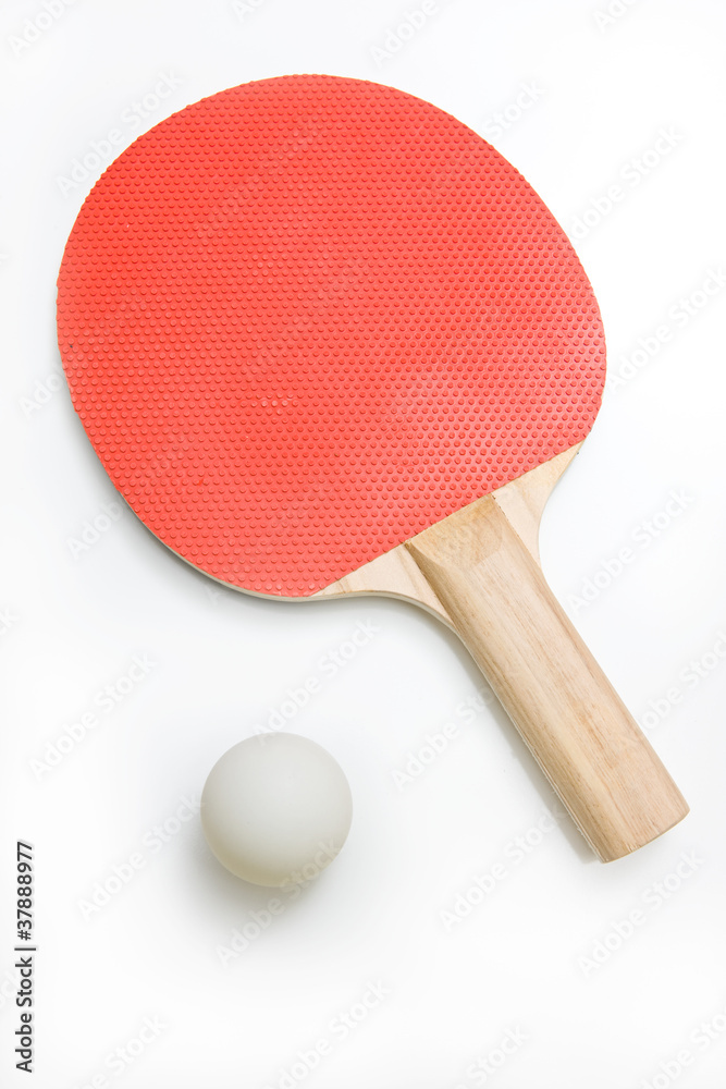 Ping Pong Paddle and Ball Ping Pong Paddle and Ball