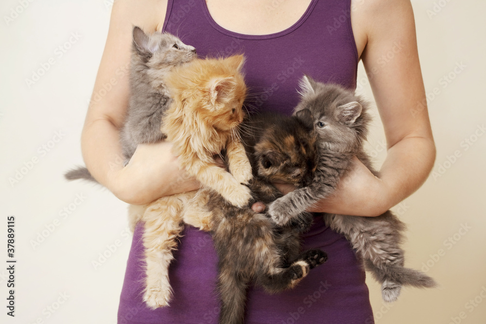 Woman Holding 4 Kittens