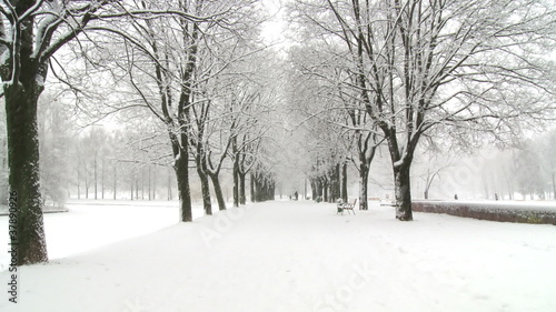 snowy weather