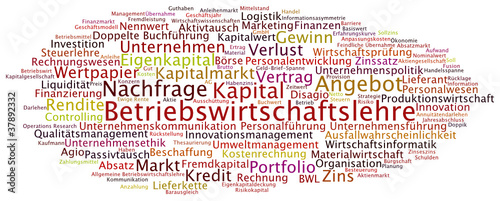 Begriffswolke Betriebswirtschaftslehre
