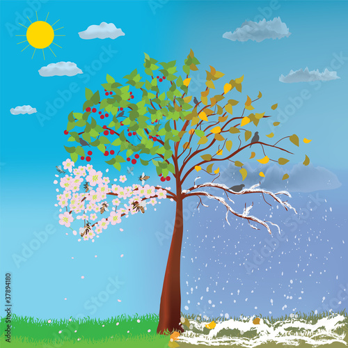 Four seasons tree