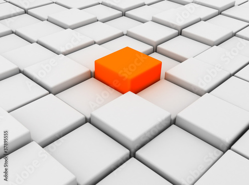 Individuality - concept ill...