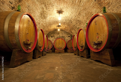 Obraz na plátně Wine cellar