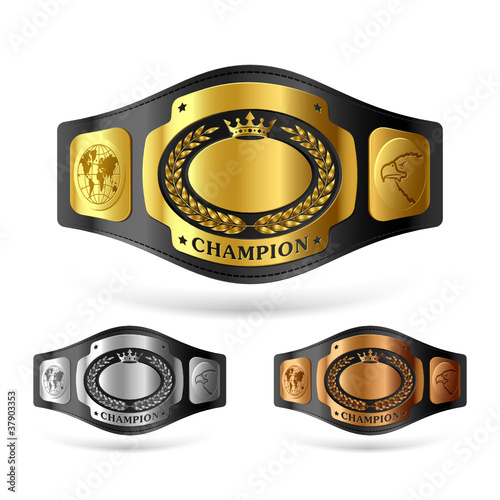 Champion belt photo