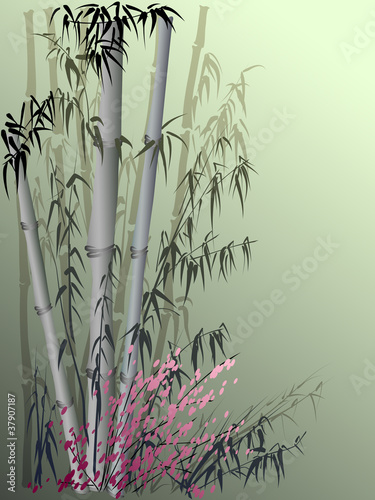 Fototapeta Naklejka Na Ścianę i Meble -  Bamboo vector in traditional asian style