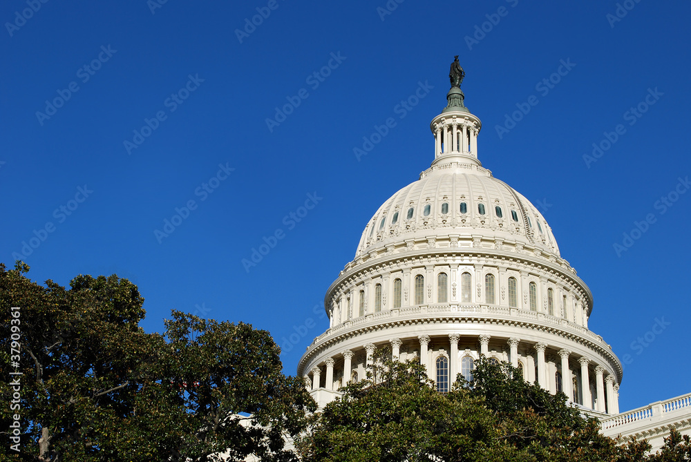Fototapeta premium United States Capitol Dome