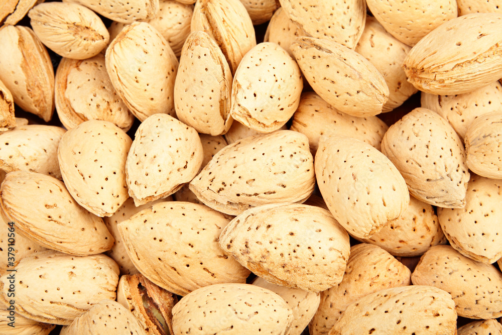 almond almond