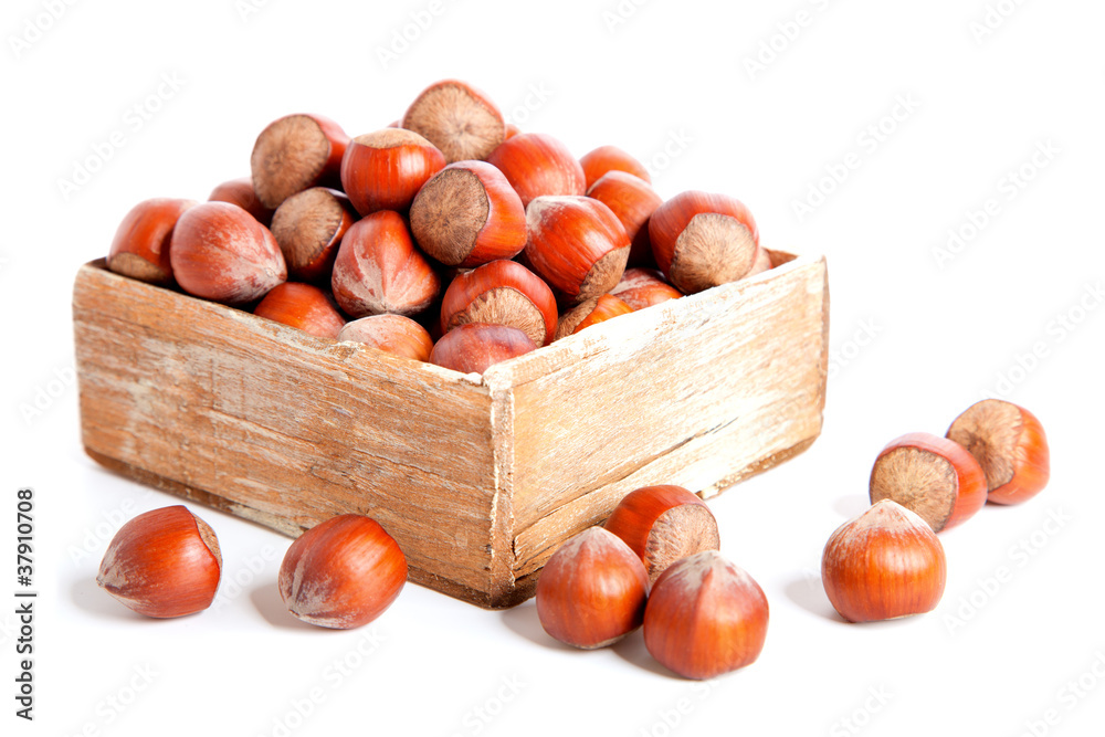 Obraz premium hazelnut