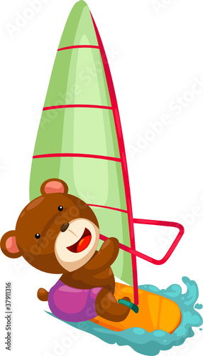 Bear wind surfing