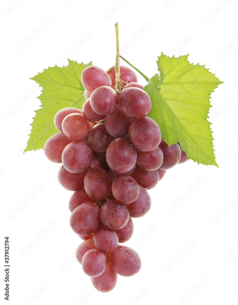 Fototapeta premium red grape
