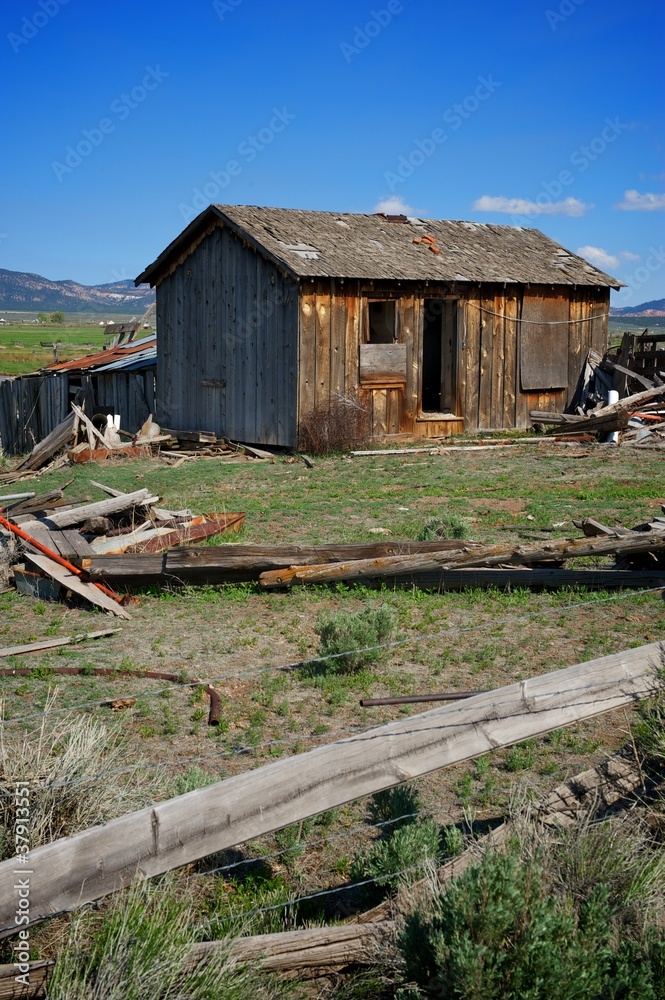 Fototapeta premium Vertical Image of An Old Wooden Shack in Utah