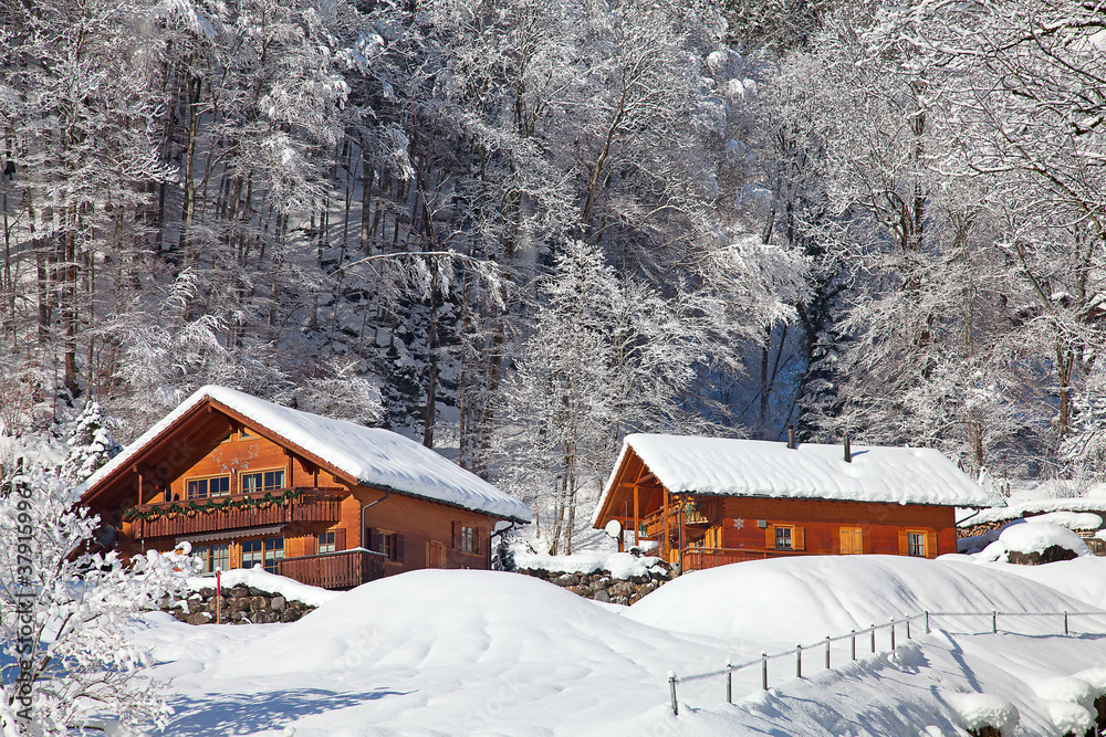 Winter in alps