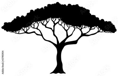 Naklejka na ścianę Sylwetka drzewa tropikalnego