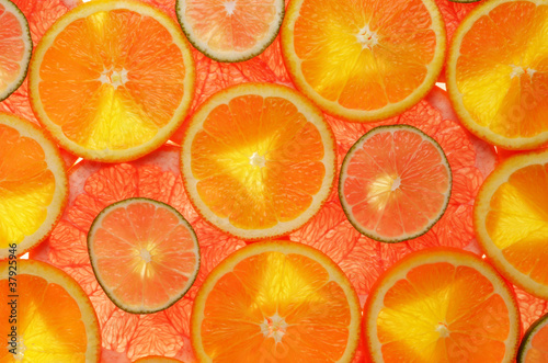 lime  lemon  grapefruit and orange slices