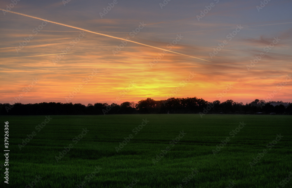 fields in Greater Poland