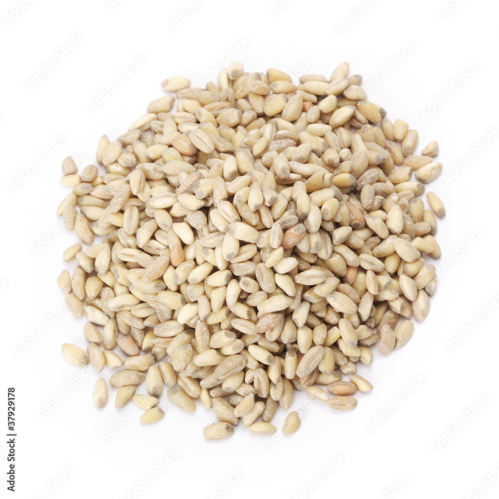 Wheat in bowl isolated on white