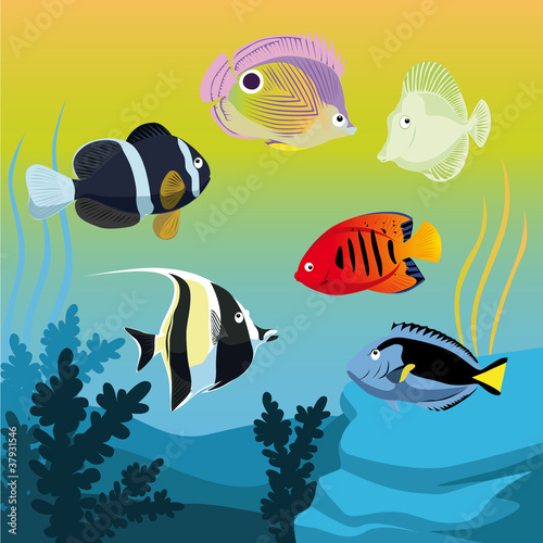 vector colorful fishes in aquarium