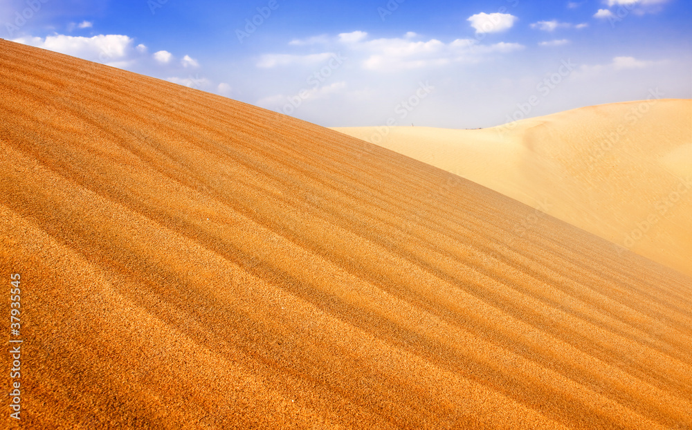Sand Dunes Landscape Sand Dunes Landscape