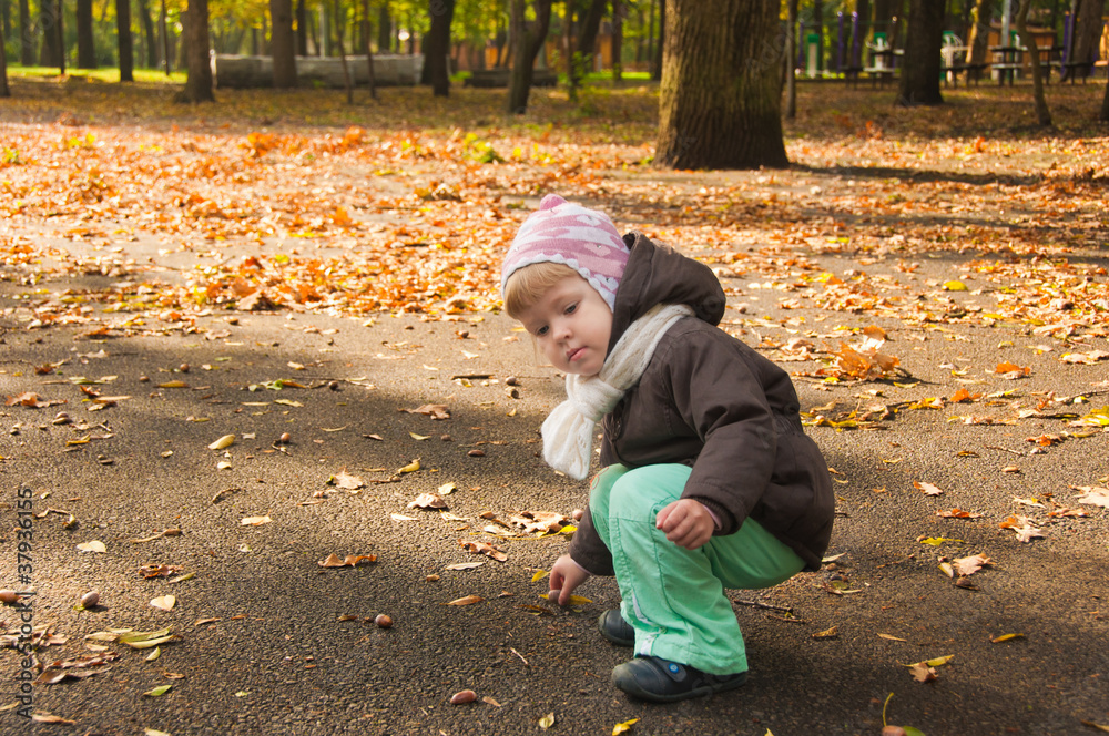 child walking in autumn park child walking in autumn park