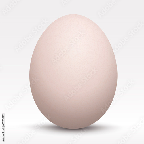 egg