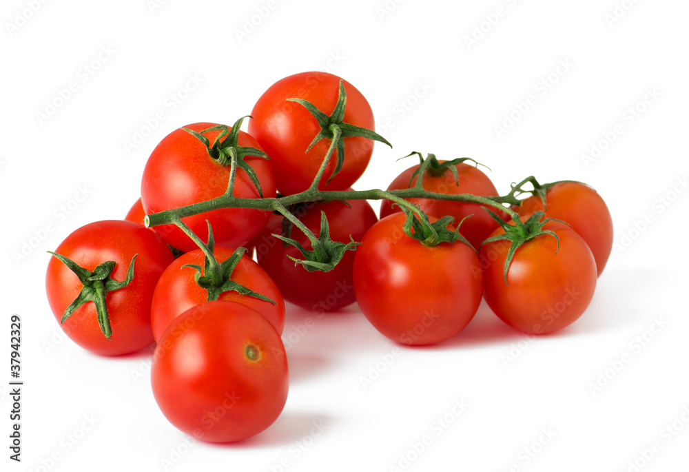 Ripe fresh cherry tomatoes on branch Ripe fresh cherry tomatoes on branch