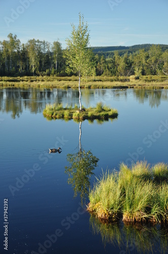 Chalupska slat lake photo