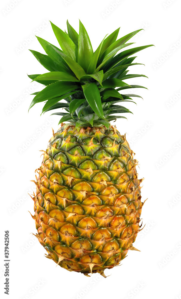 Fototapeta premium appetite pineapple