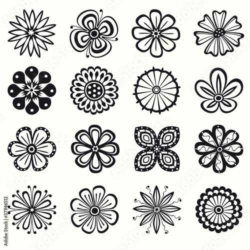 Collection of flowers