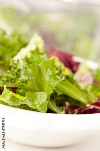 fresh salad