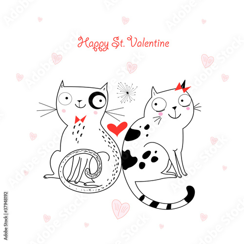 love cats