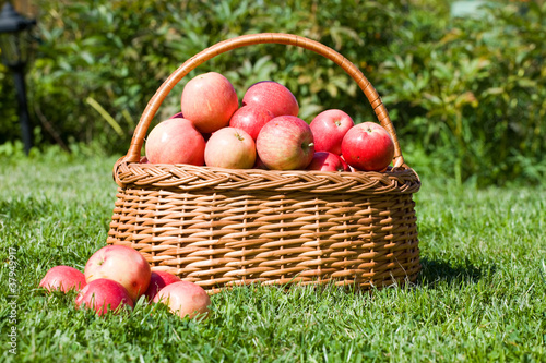 basket with red apples costs