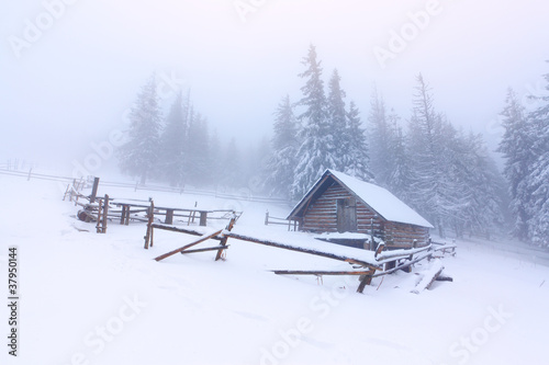 old farm in the mountains at winter © Andrew Mayovskyy