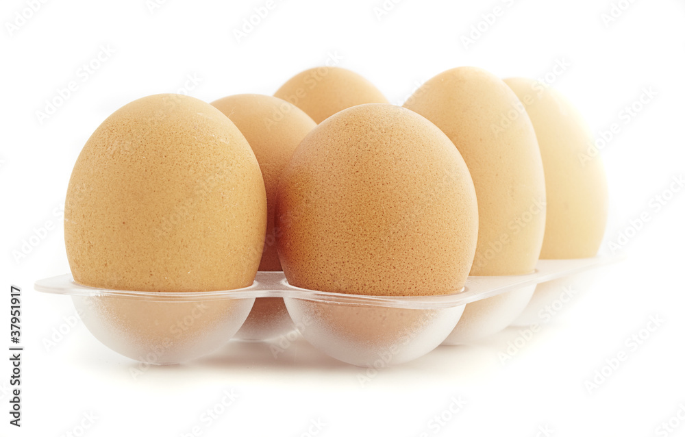 eggs isolated eggs isolated