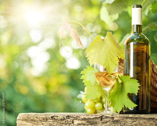 White wine bottle, vine, glass and bunch of grapes