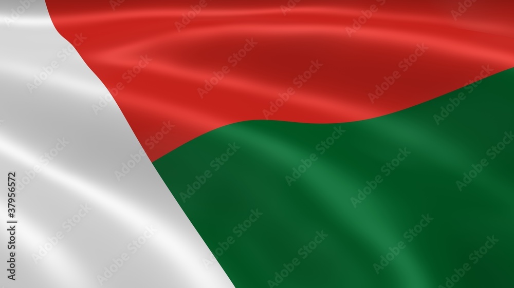 Malagasy flag in the wind