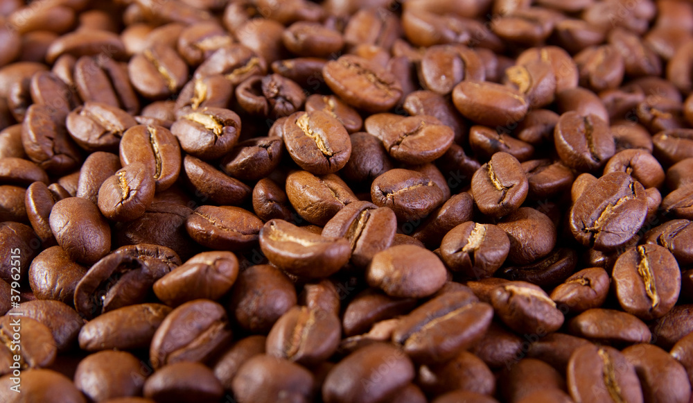 Coffee Bean Background Coffee Bean Background