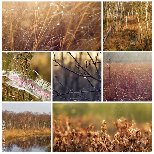 Moor Impressions photo