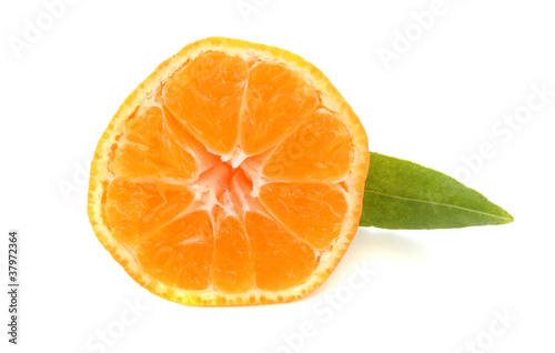 truncated mandarin orange with green leave © pterwort