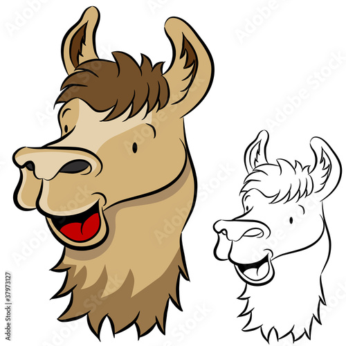 Llama Face