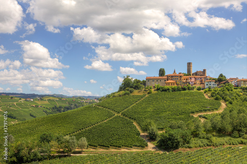 Hills and vineyards of Piedmont  Italy.