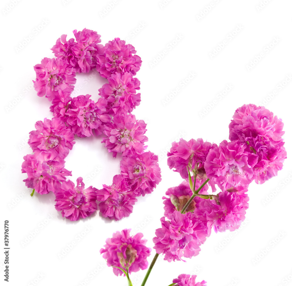 The number eight from flowers The number eight from flowers