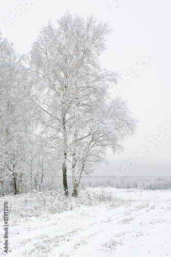 Russian landscape in the winter