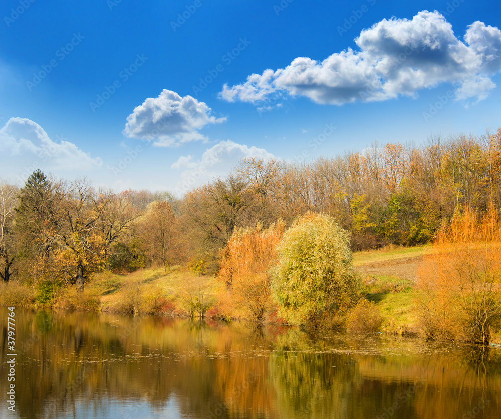 Fototapeta premium Autumn landscape on the bank of lake