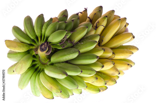 brunch of bananas © Photofollies