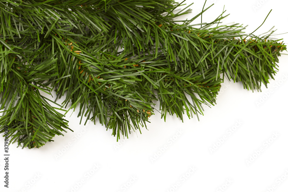 Christmas tree branches Christmas tree branches