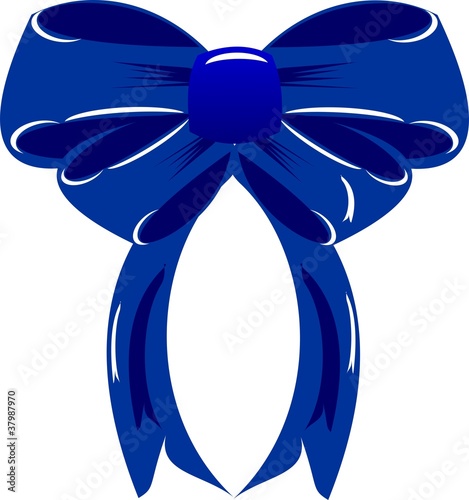 Dark blue bow