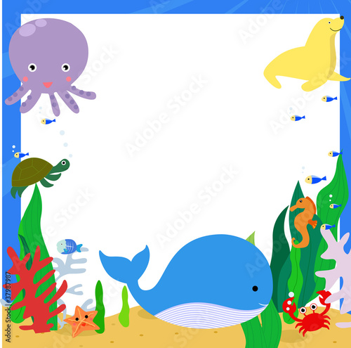 Sea animals